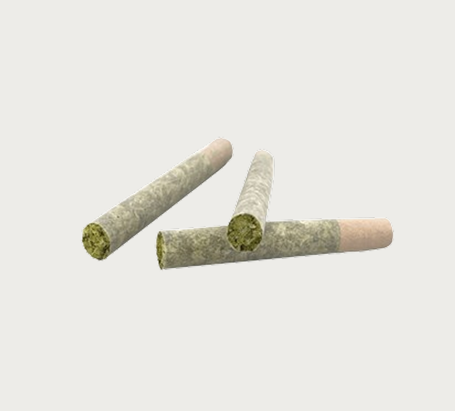 infused pre rolls distillation live resin applied on it